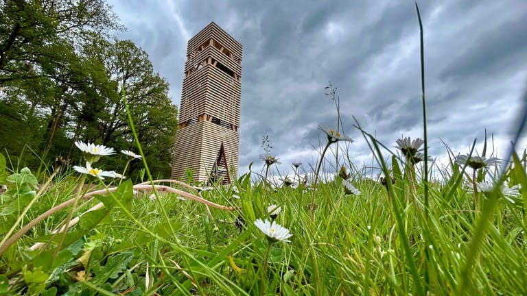 Mitten im Naturschutzgebiet Kranichwoog steht der neue Erlebnisturm mit 24 Metern Höhe. Von hier kann man karpatische Wasserbüffel, Kraniche und viele andere Tierarten entdecken. 